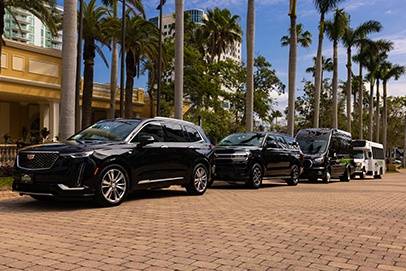 Dolphin Transportation Specialists
