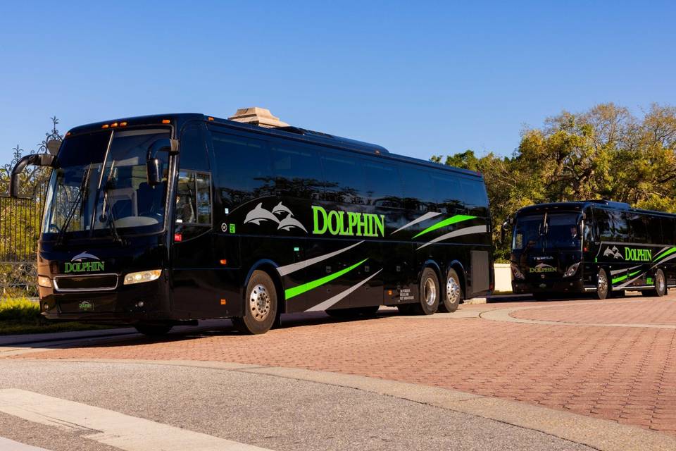 Dolphin Transportation Specialists