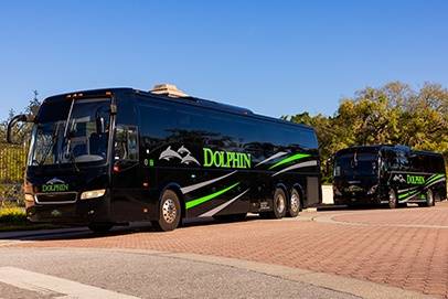 Dolphin Transportation Specialists