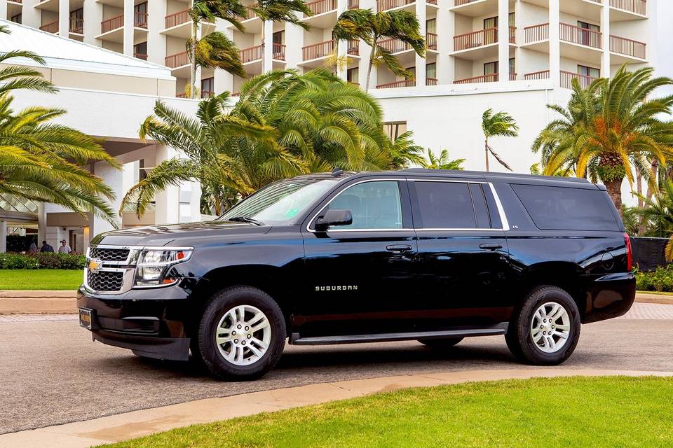 Dolphin Transportation Specialists
