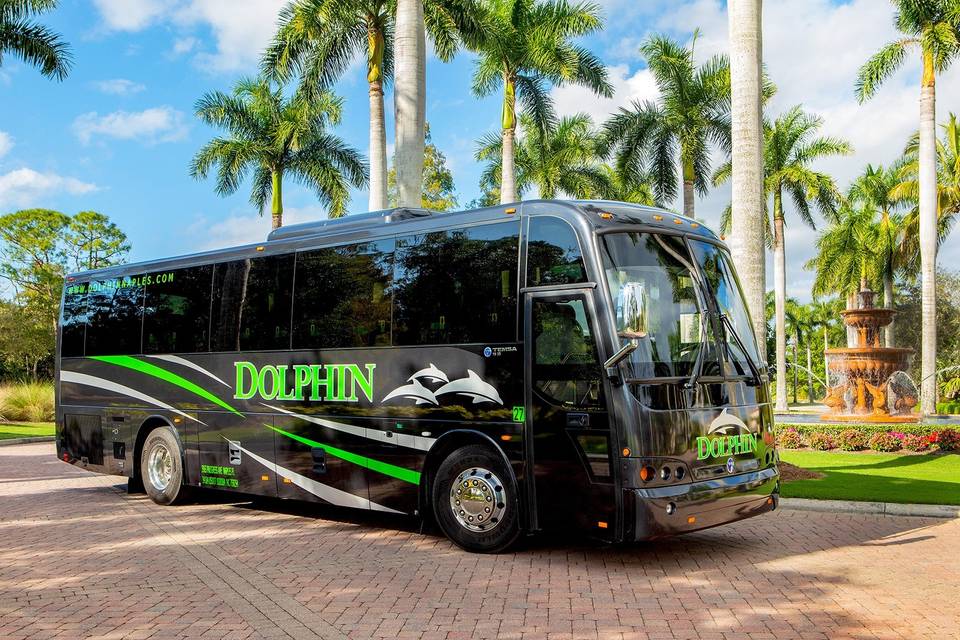 Dolphin Transportation Specialists