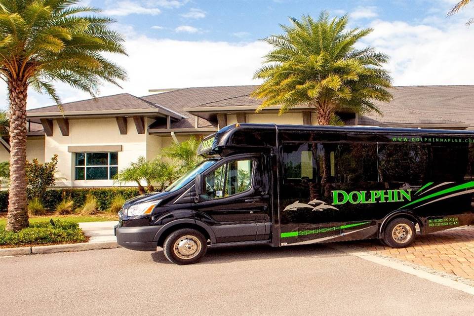 Dolphin Transportation Specialists