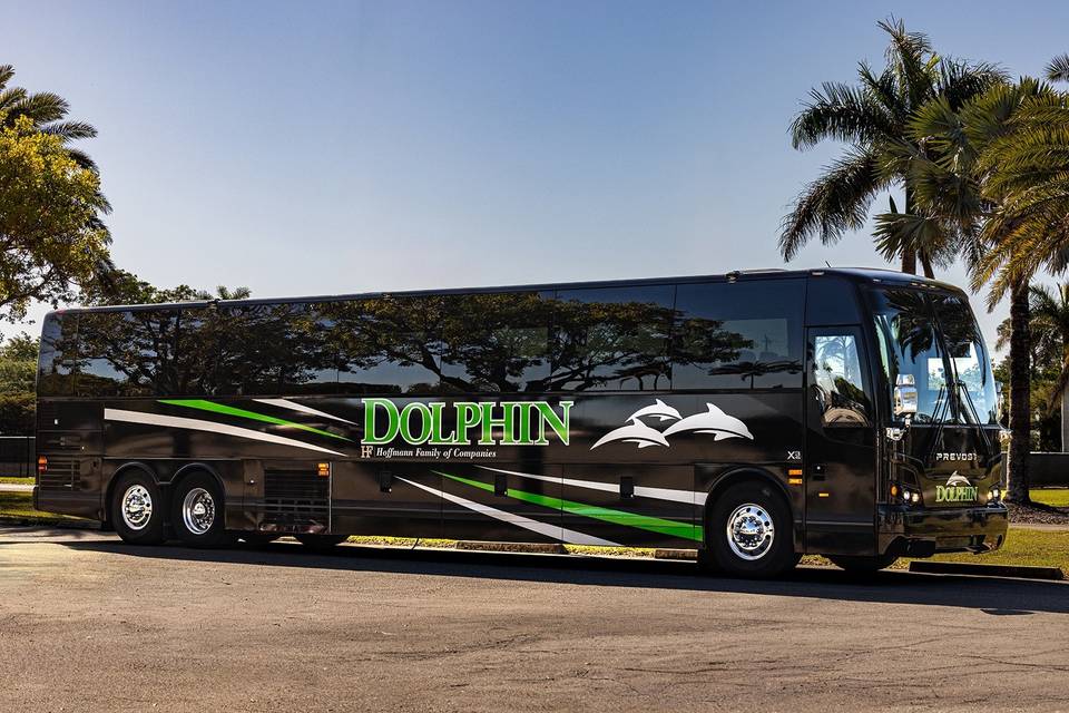 Dolphin Transportation Specialists