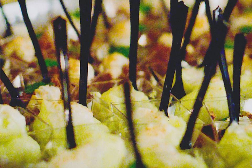Oscar's Catering