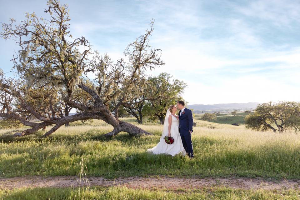 Paso Robles Wedding