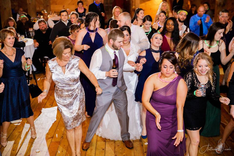 Newlyweds dancing with their guests