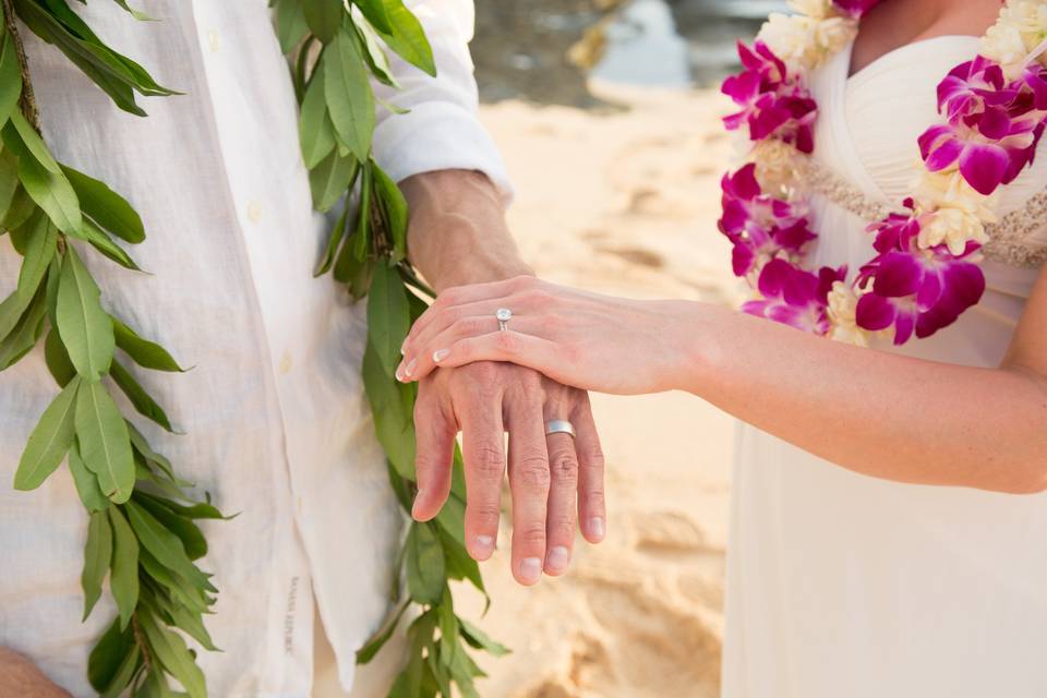 Ann Carter Photography