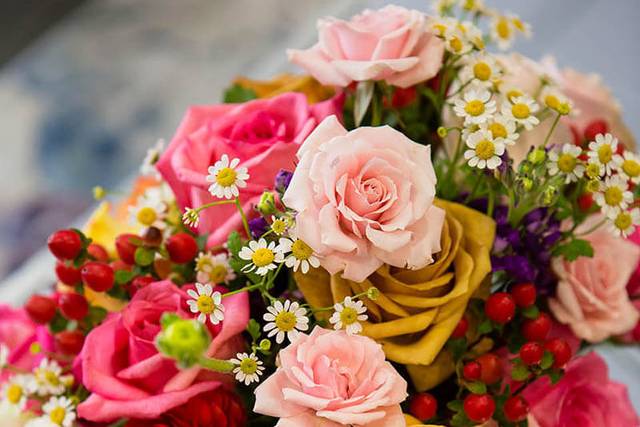 Flowers of the Lakes3