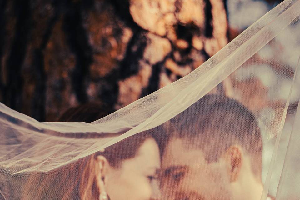 Wedding photos