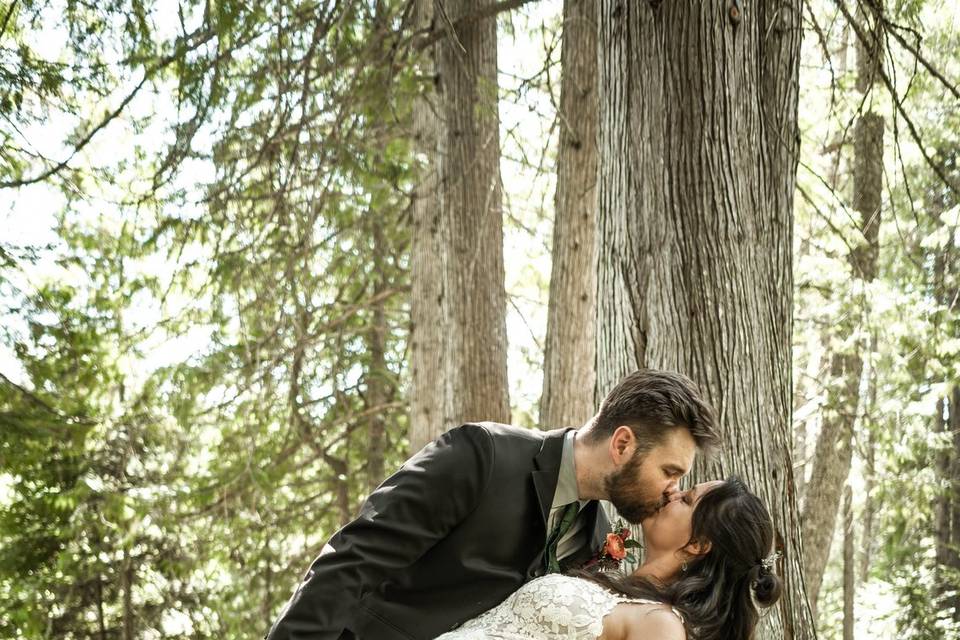 Wedding photos