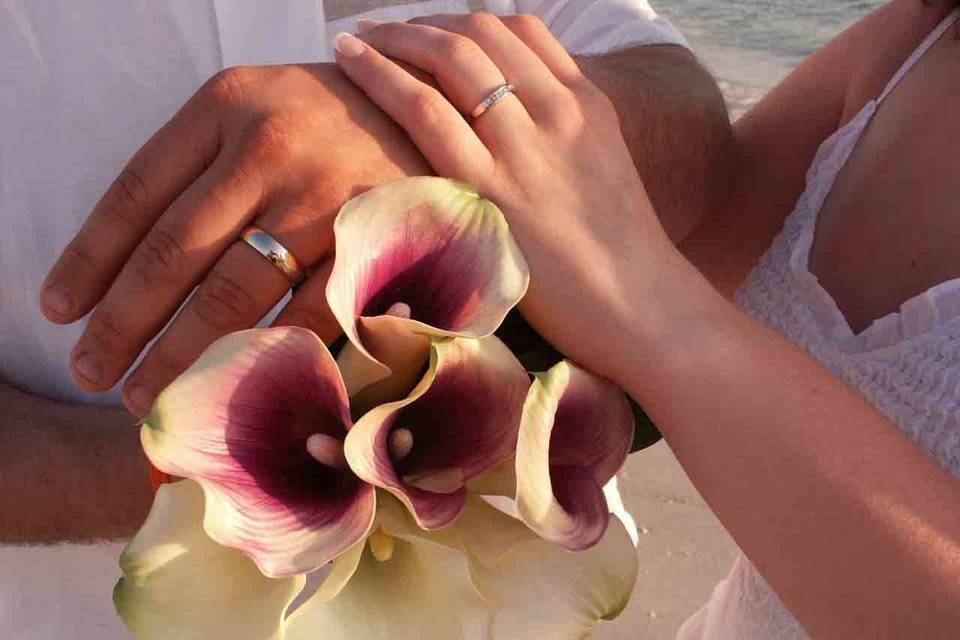 Clearwater Notary and Weddings
