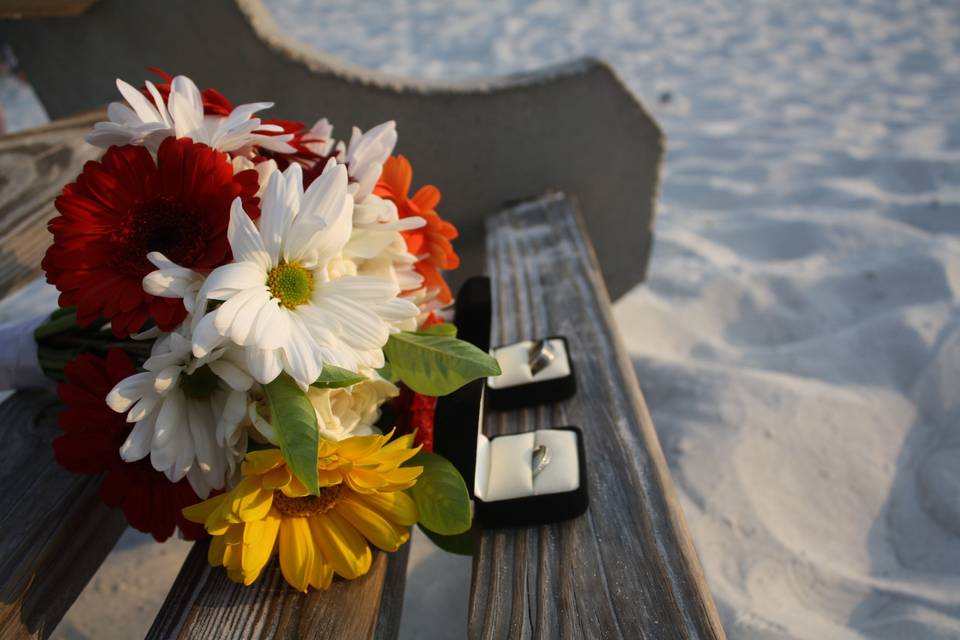 Clearwater Notary and Weddings