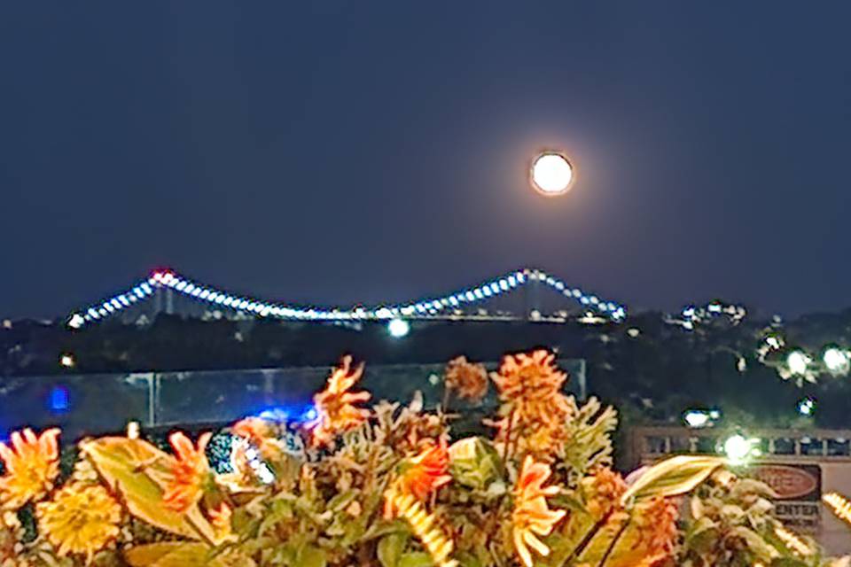 Cityview Rooftop