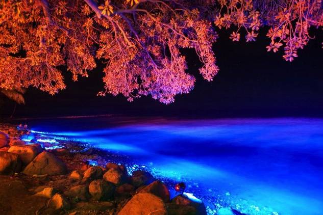 Olowalu Plantation Estate Beach Lighting