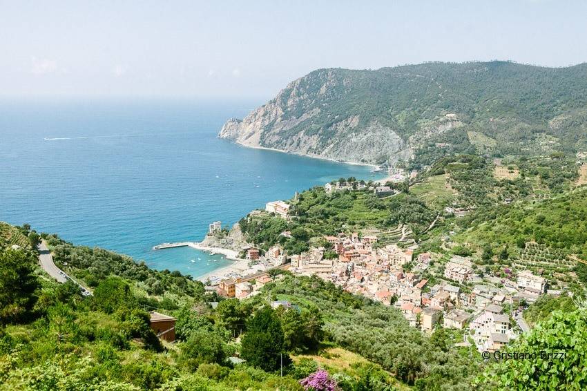 Cinque Terre Wedding