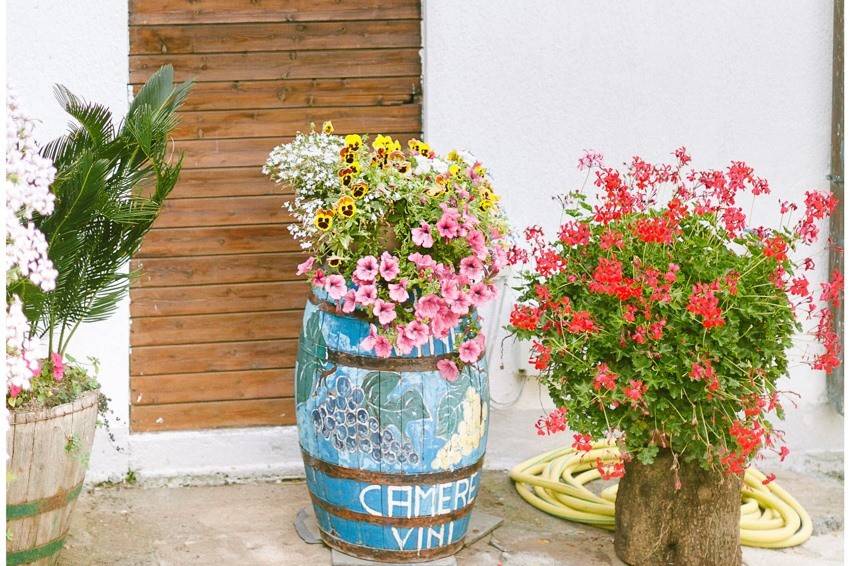 Cinque Terre Wedding