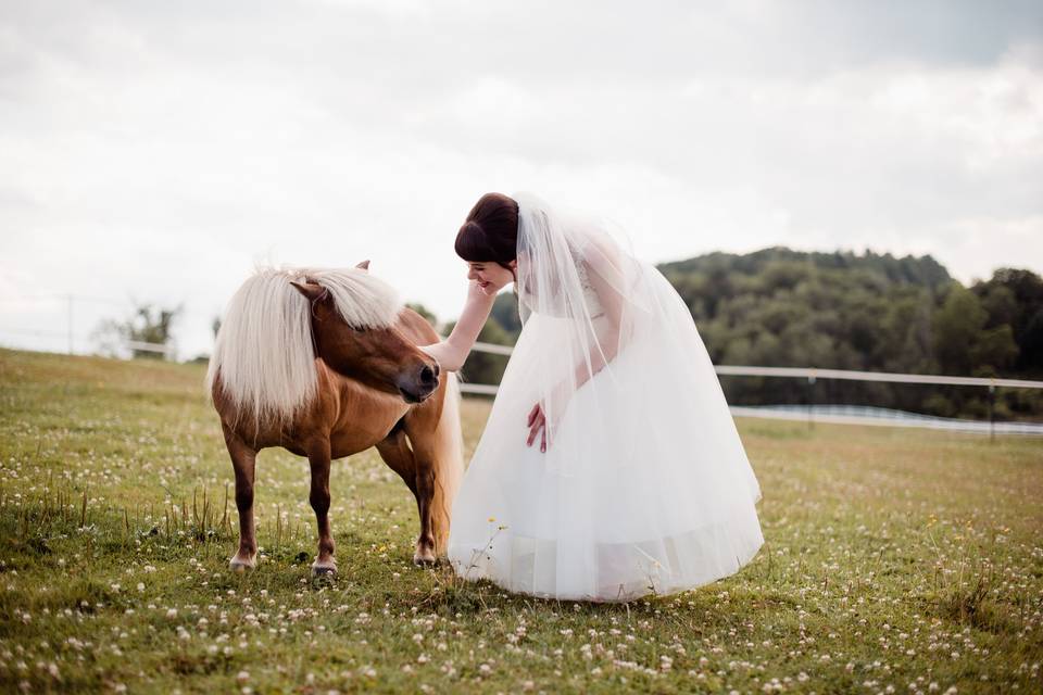 Bride Mini Horse