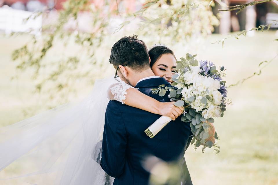 Willow Tree Hug