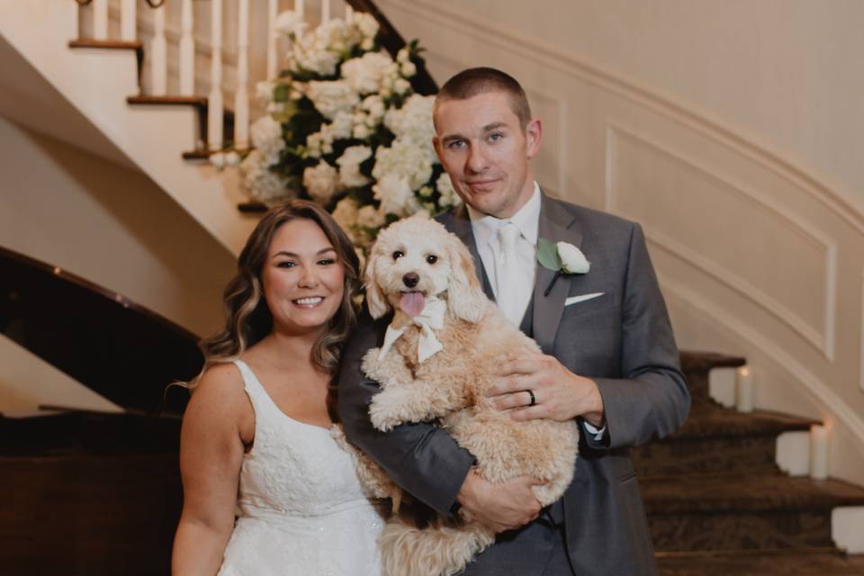 Fur Baby Friendly
