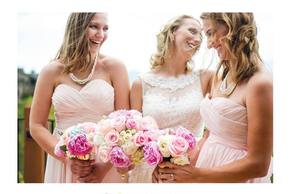Amy Nadine Photography, LLC