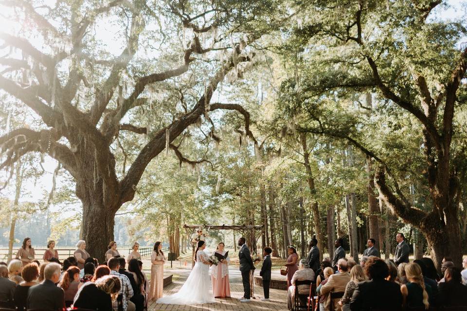 Wedding Ceremony