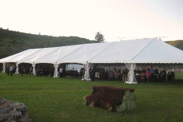 Alpine Party Rentals