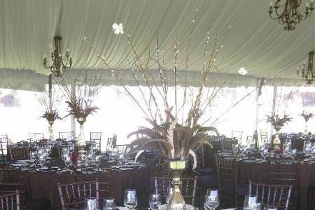 Alpine Party Rentals