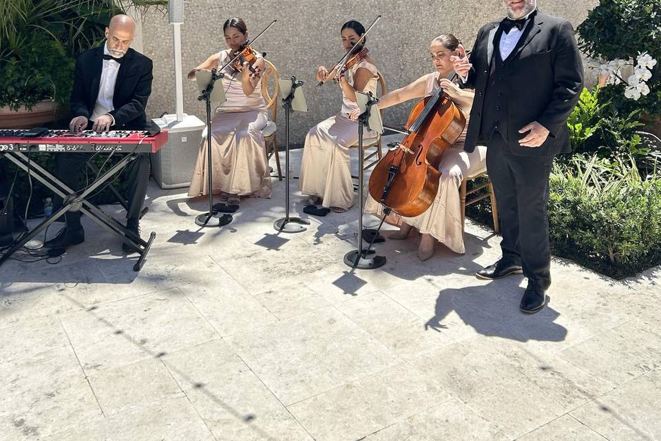 With string quartet