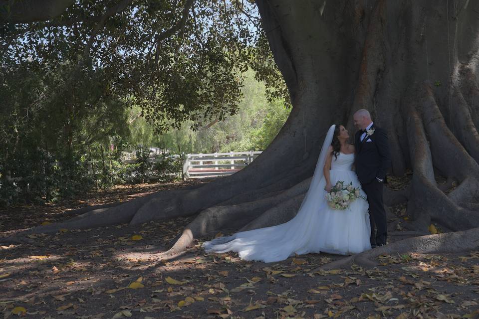 Mr. & Mrs. Finn