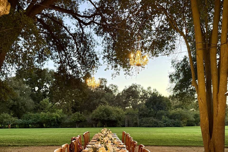 Rehearsal dinner
