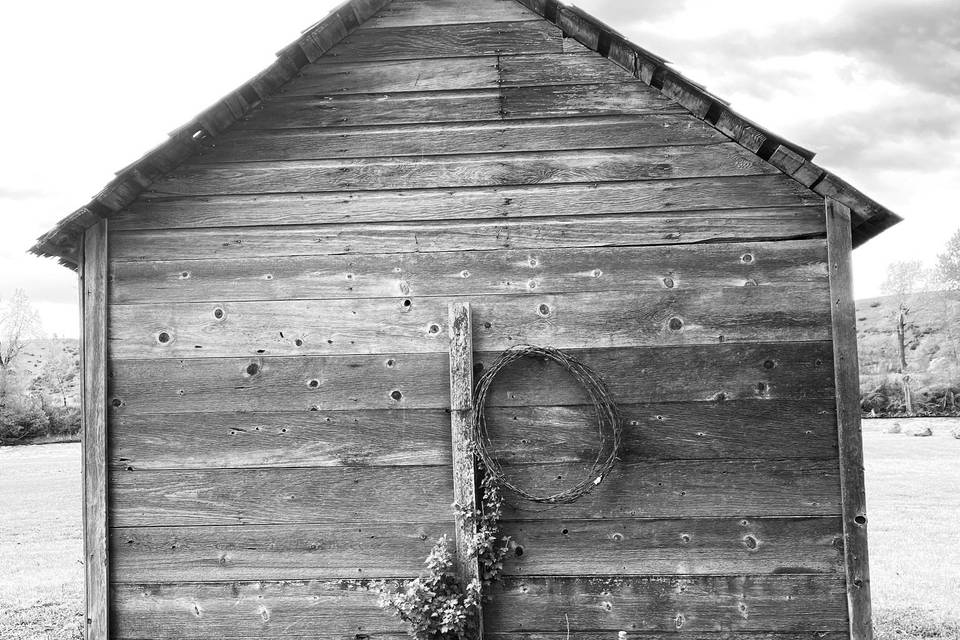 Old Shed Photo Backdrop