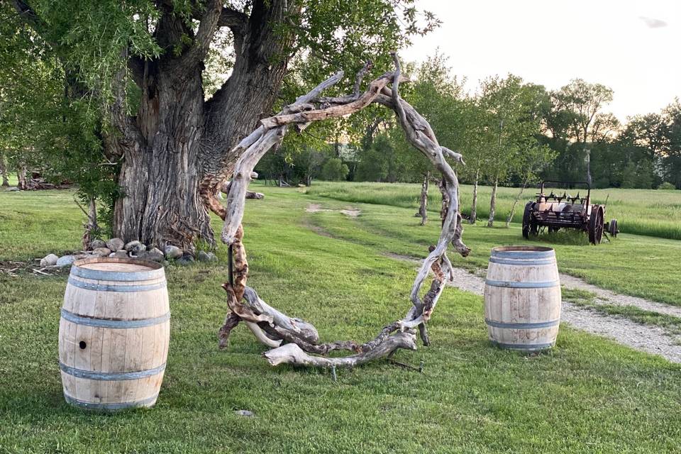Our Driftwood Wedding Arch