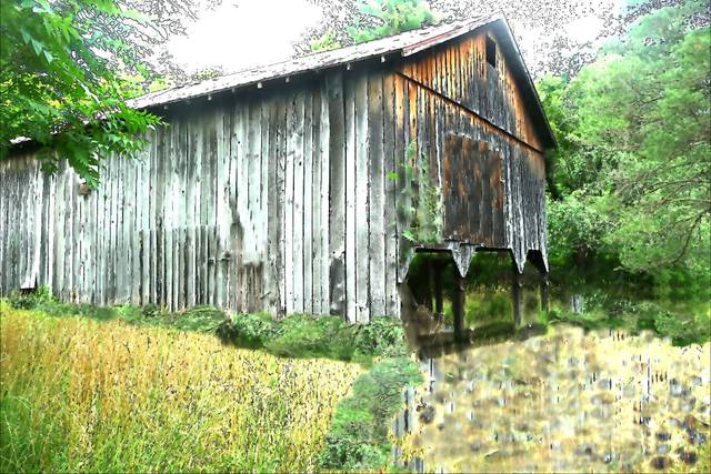 Harlequin Farms & Barn