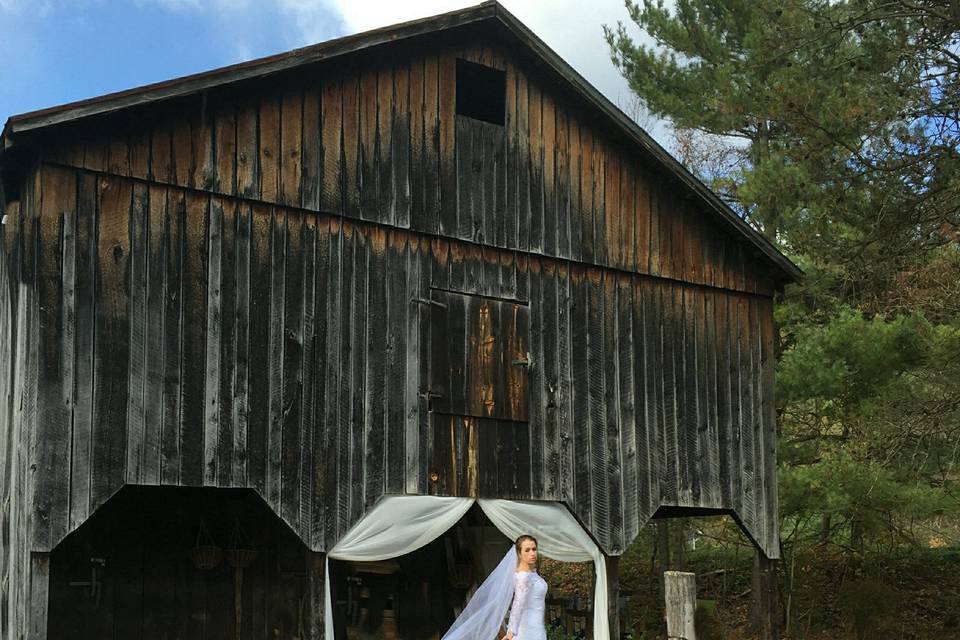 Bridal photo