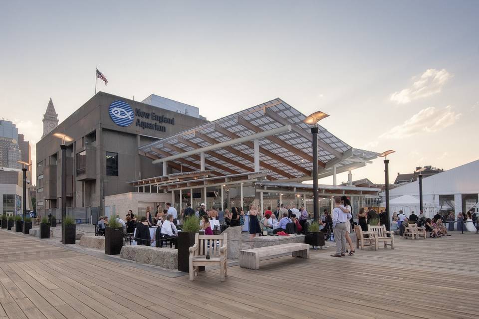 New England Aquarium