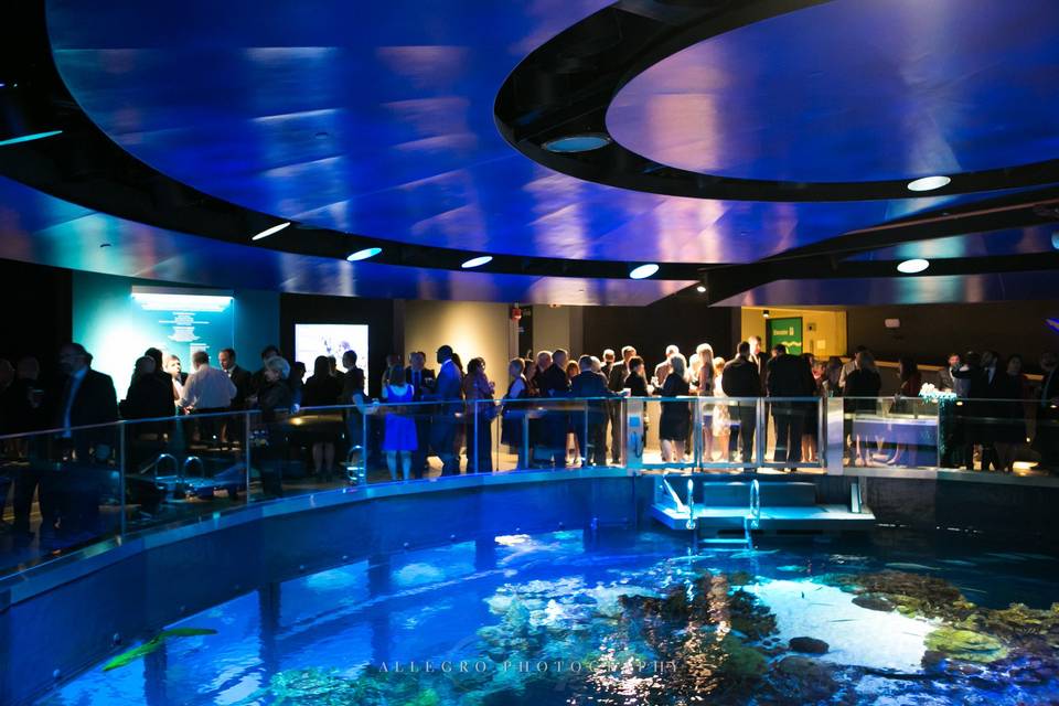 New England Aquarium