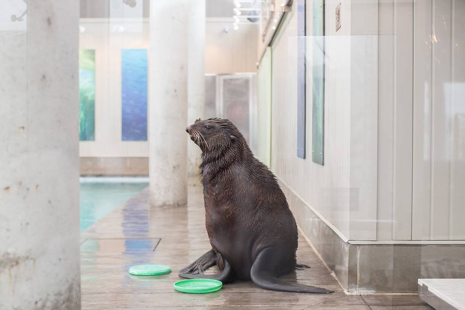 New England Aquarium