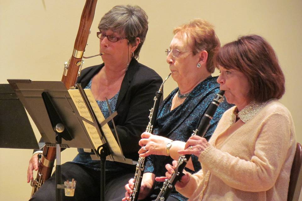 Carol Bernhardt Trio  Steve, Ron, Carol