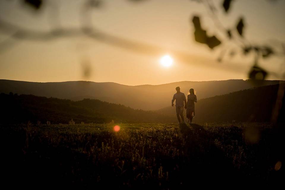 Nice walking in the nature