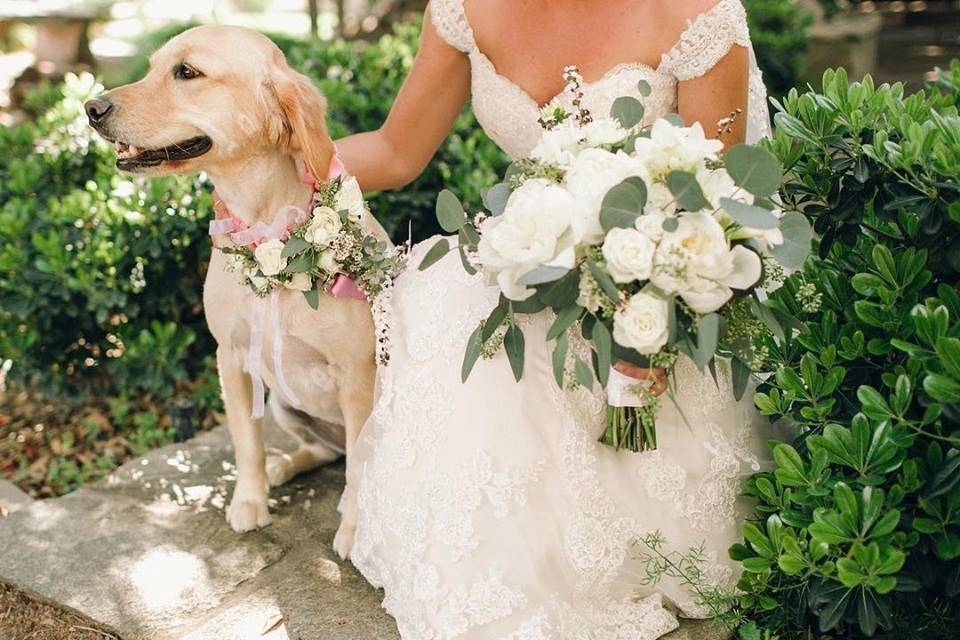 Bride and dog