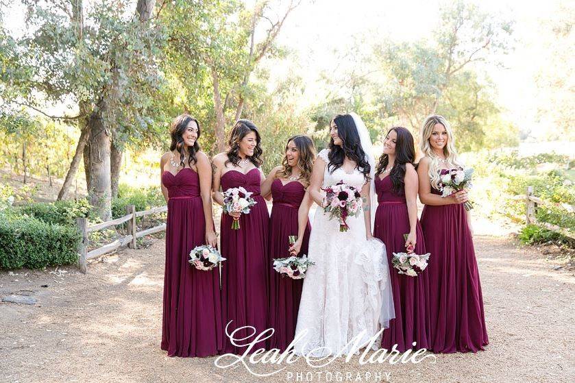 Bride and bridesmaids