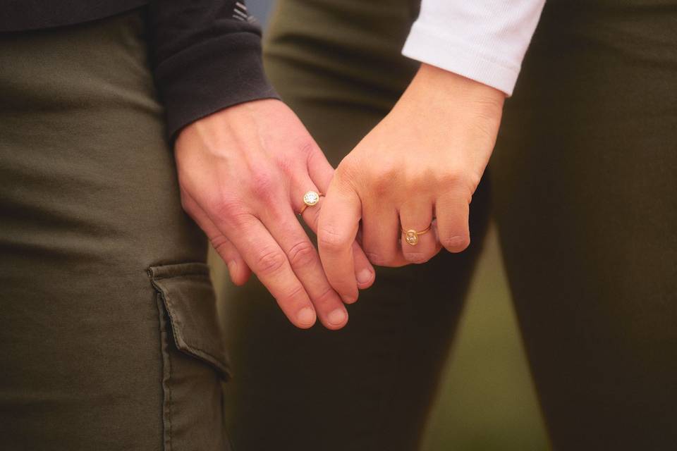 Garden of the Gods Engagement