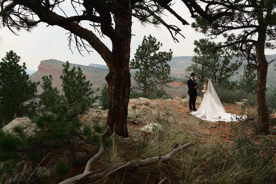 Lyons Lionscrest Manor Wedding