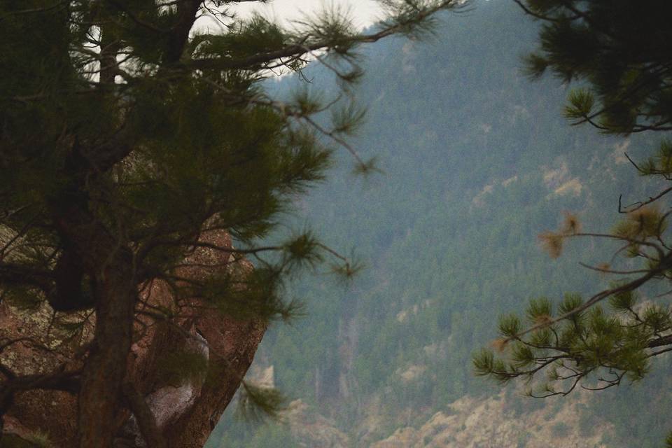 Garden of the Gods Engagement