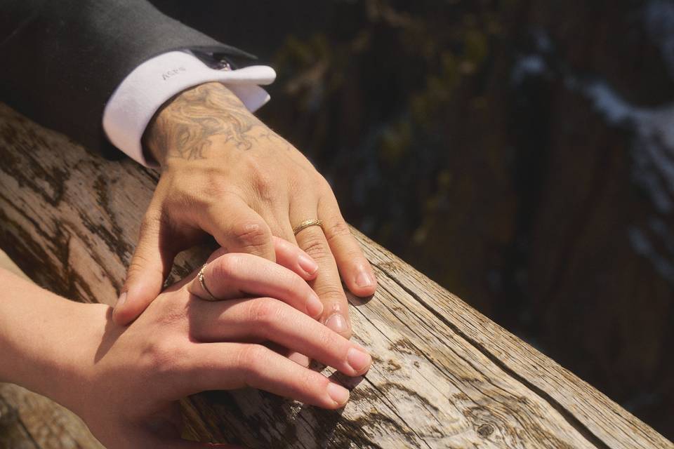 Garden of the Gods Engagement