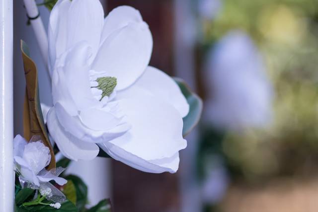 Mr. and Mrs. Collins flower ar