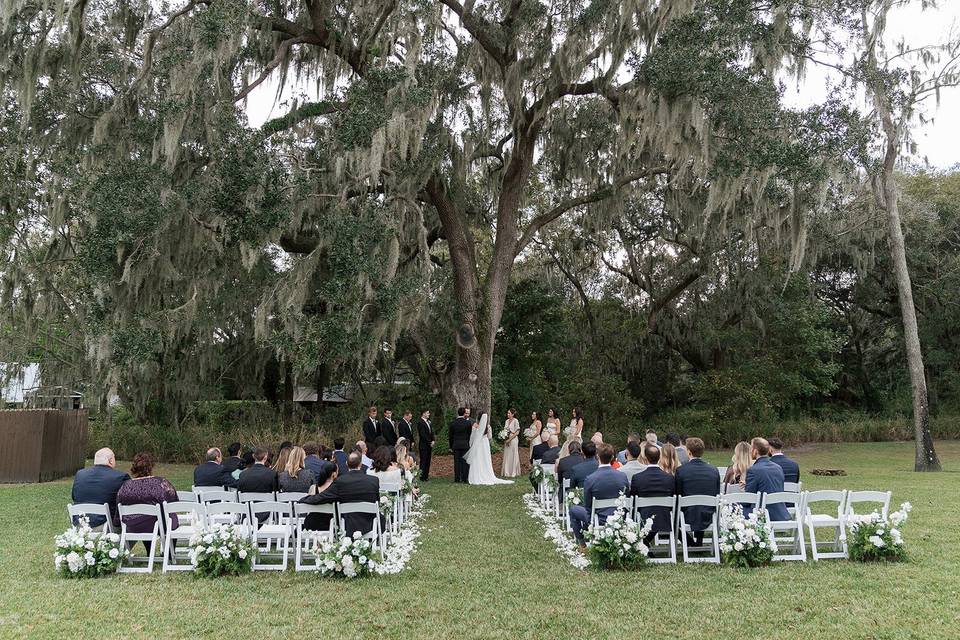 Oak tree wedding ceremony