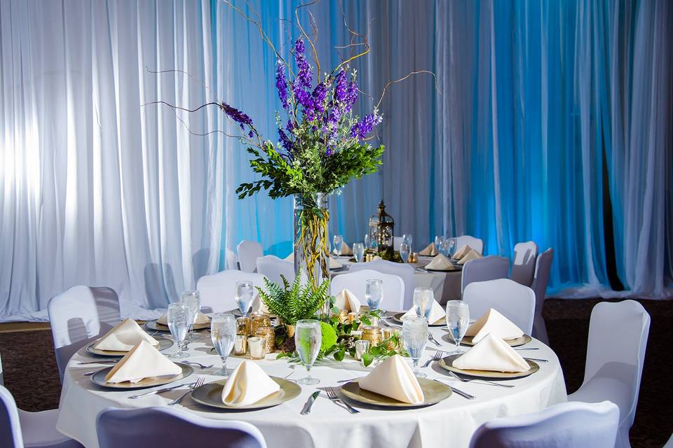 Robson Resort Community