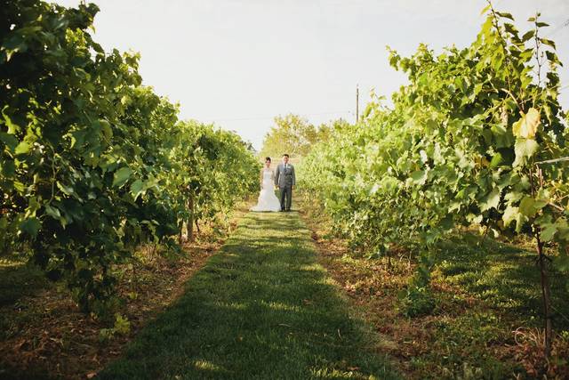 Andrea Boller Photography