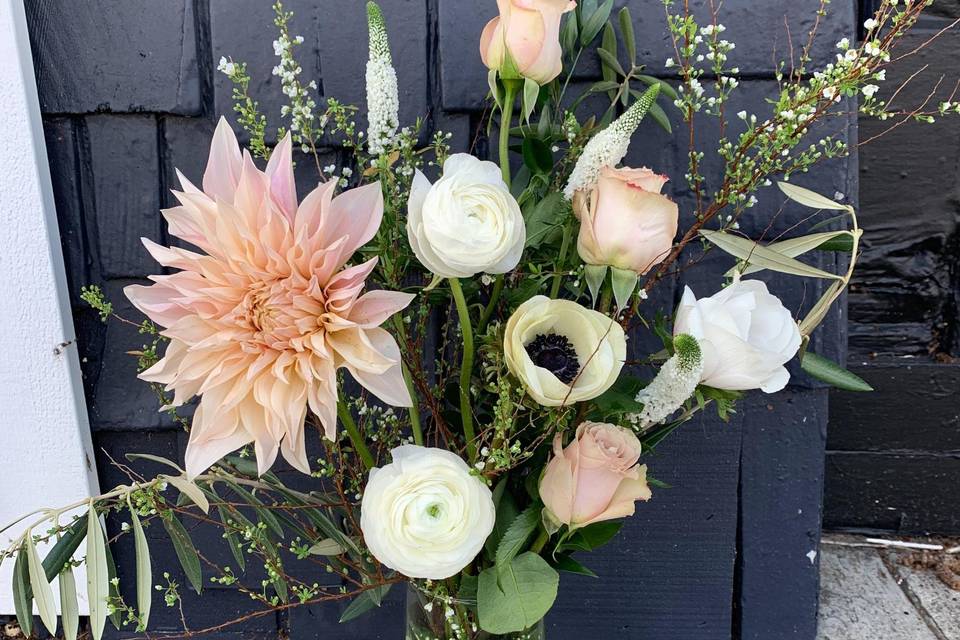Wild dahlia mix